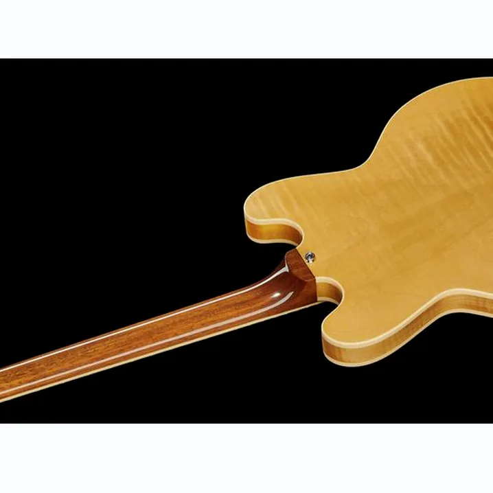 Test, Recensione della chitarra elettrica Heritage Guitar H-530 AN