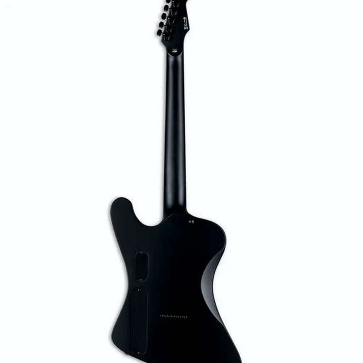 Test, Recensione della chitarra ESP LTD PHOENIX-7 Barit. Bl. Metal