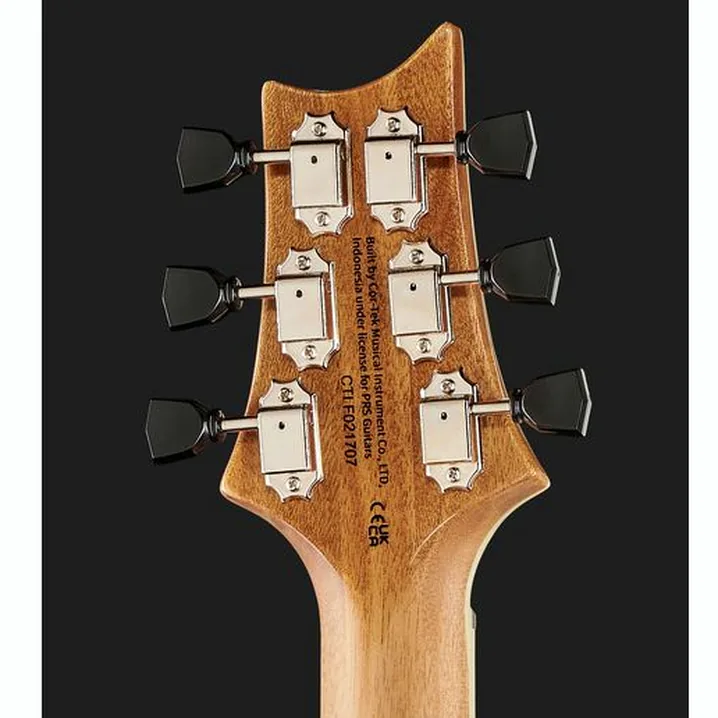 Test, Recensione della chitarra PRS SE Zach Myers MB