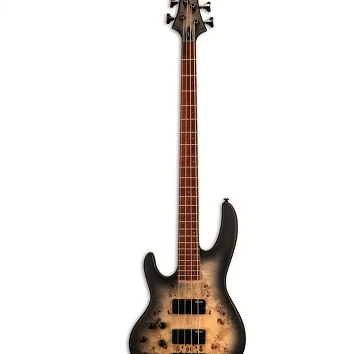 Test, Recensione ESP LTD D-4 LH BNBS