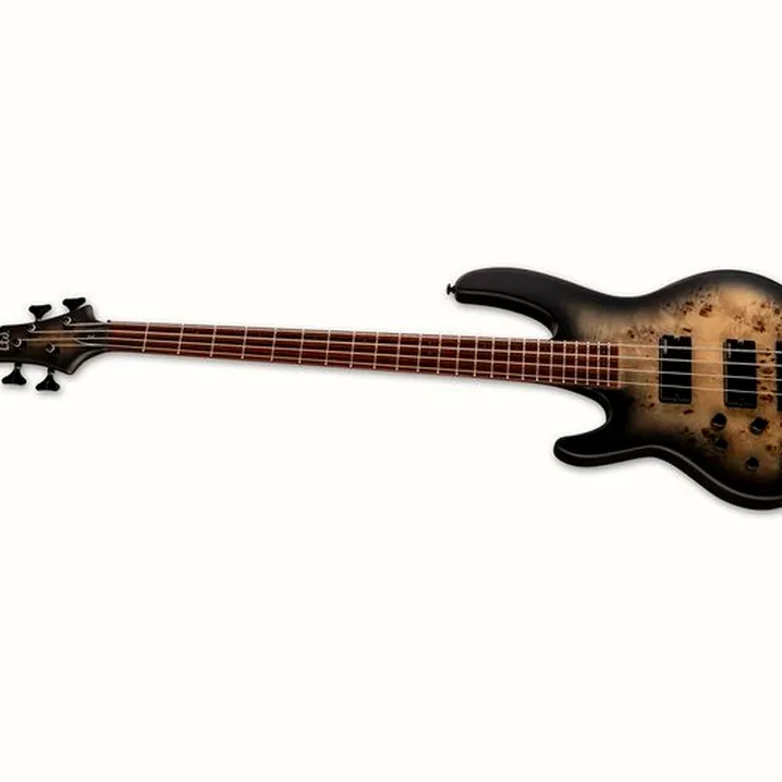 Test, Recensione ESP LTD D-4 LH BNBS