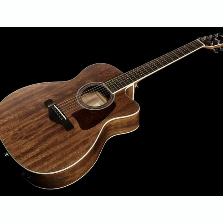 Test, Recensione: Ibanez AC340CE-OPN Artwood