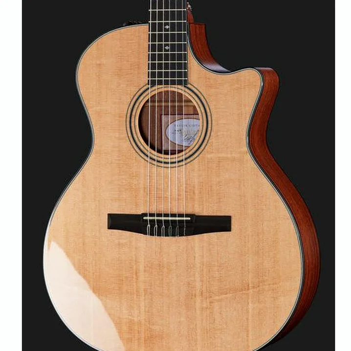 Test, Recensione Taylor 314ce-N